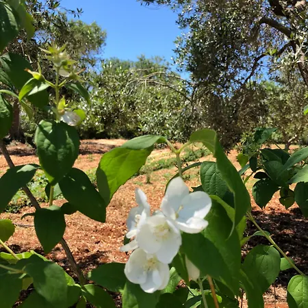 Terreno At Tre Mondi Villa Ostuni